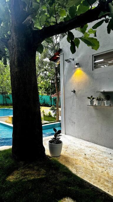 Serenity Farm Stay Hampapura Екстер'єр фото